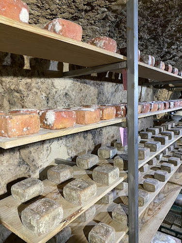 Artesanos Del Queso quesería en Cabeza Del Buey