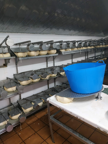 Es Lloc D'en Vinent (Venta De Quesos Agroxerxa) quesería en Maó