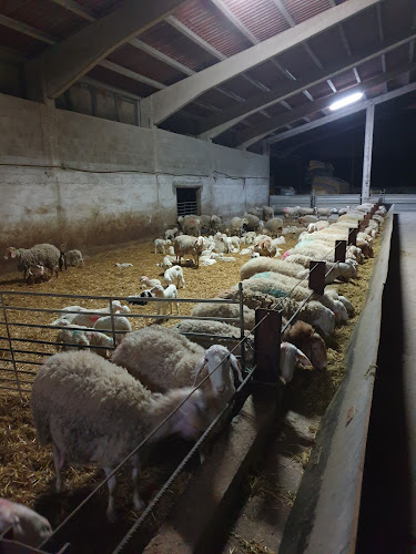 Quesería Buruaga Arditegia quesería en Vitoria-gasteiz
