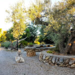 Queseria Tot De Poble – Mejor quesería artesana en Les Coves De Vinromà (Castellón)