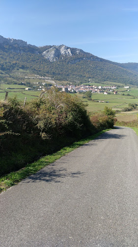Queso Gertrudis quesería en Lizarraga