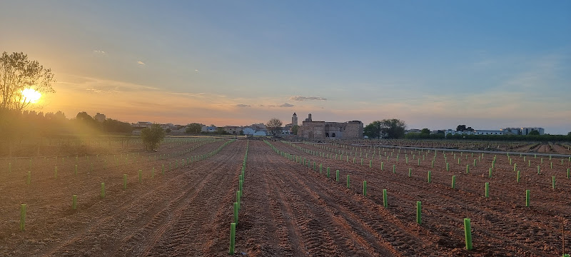 Quesos El Convento quesería en Mahora