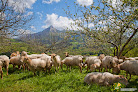 Ruta Del Queso Idiazabal Gr 283 quesería en Ordizia